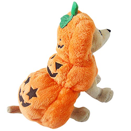 Hiseng Halloween Hundekostüm, Kürbis Dekoration Hundemantel, Lustiges Haustierkostüm Haustier Party Anzug Hundekostüm für Kleine Mittelgroße Hunde (L,Orange) von Hiseng