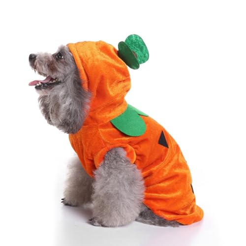Hiseng Halloween Hundekostüm, Verrückte-Dekoration Hundemantel, Lustiges Haustierkostüm, Haustier Party Anzug, Hundekostüm für kleine, mittelgroße und große Hunde (L,Kürbis) von Hiseng