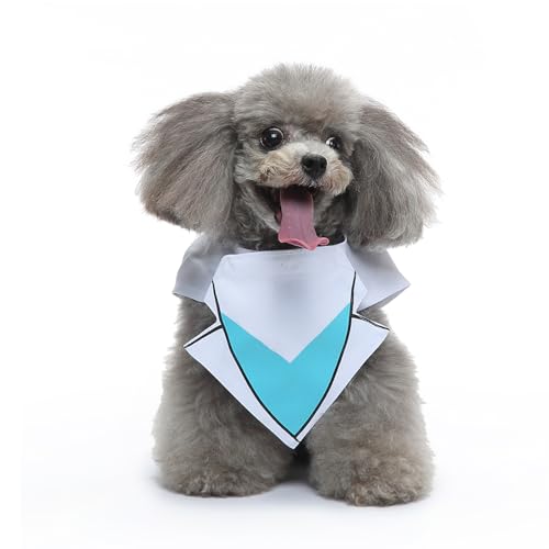 Hiseng Halloween Hundekostüm, Weihnachten-Dekoration Hundemantel, Lustiges Haustierkostüm, Haustier Party Anzug, Hundekostüm für kleine, mittelgroße und große Hunde (L,Krankenschwester) von Hiseng