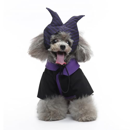 Hiseng Halloween Hundekostüm, Zauberer-Dekoration Hundemantel, Lustiges Haustierkostüm, Haustier Party Anzug, Hundekostüm für kleine, mittelgroße und große Hunde (L,Magie) von Hiseng