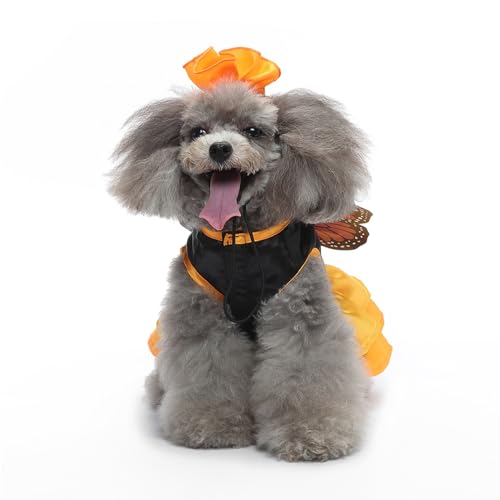 Hiseng Halloween Hundekostüm, Zauberer-Dekoration Hundemantel, Lustiges Haustierkostüm, Haustier Party Anzug, Hundekostüm für kleine, mittelgroße und große Hunde (L,Schmetterling) von Hiseng
