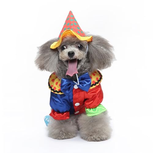 Hiseng Halloween Hundekostüm, Zauberer-Dekoration Hundemantel, Lustiges Haustierkostüm, Haustier Party Anzug, Hundekostüm für kleine, mittelgroße und große Hunde (L,Zauberer) von Hiseng