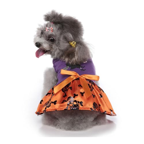Hiseng Hundekostüm Halloween, Kürbis-Dekoration Hundemantel, Lustiges Haustierkostüm, Haustier Party Anzug, Hundekostüm für Kleine, Mittelgroße Große Hunde (XL,C) von Hiseng