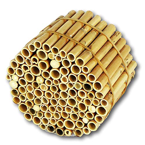 BeeCasa by Hiss Reet® Schilfrohrhalme EXTRA | Naturbelassener Bund | Insektenhotel & Bienenhotel Füllmaterial | Niströhren & Nisthülsen für Wildbienen von Hiss Reet