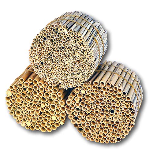 BeeCasa by Hiss Reet® Schilfrohrhalme Mix | 3er Kombi Set | Insektenhotel & Bienenhotel Füllmaterial | Niströhren & Nisthülsen für Wildbienen von Hiss Reet