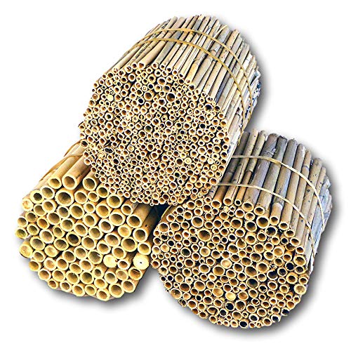 BeeCasa by Hiss Reet® Schilfrohrhalme Mix | 3er Kombi Set | Insektenhotel & Bienenhotel Füllmaterial | Niströhren & Nisthülsen für Wildbienen von Hiss Reet