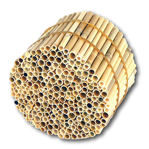 BeeCasa by Hiss Reet® Schilfrohrhalme Premium | Geschälter Bund | Insektenhotel & Bienenhotel Füllmaterial | Niströhren & Nisthülsen für Wildbienen von Hiss Reet
