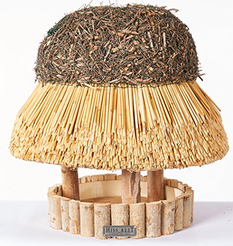 Hiss Reet® Vogelfutterhaus, Vogelhaus - mit Reetdach I Futterhaus für Vögel aus Eukalyptus Holz I Sylt I ideal für Balkon und Garten I wetterfest (M - ca. 42 cm Traufe) von Hiss Reet