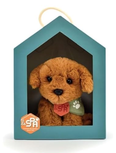 HISTOIRE D'OURS - Kleines Plüschtier, Hund, Beige, SPA, 16 cm, sehr weich, mit Box in Nischenform, Partnerschaft SPA, Solidarität für Kinder und Erwachsene – SPA-Hunde HISTOIRE D'OURS - Kleines Plüschtier, Hund, Beige, SPA, 16 cm, sehr weich, mit Box in Nischenform, Partnerschaft SPA, Solidarität für Kinder und Erwachsene – SPA-Hunde von Histoire d'ours