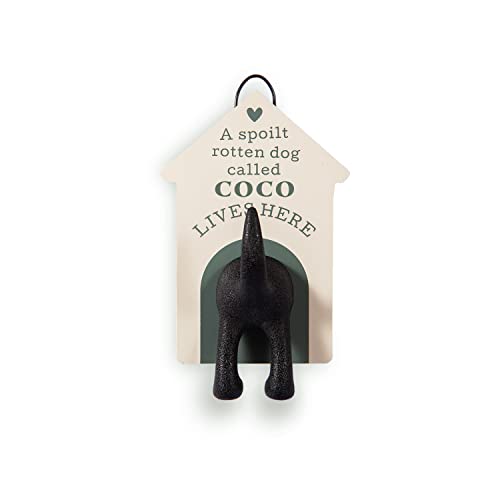 Personalisierbare Hundeleine, Haken, Coco-Design von History & Heraldry