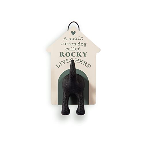 Personalisierbare Hundeleine, Haken (Rocky) von History & Heraldry