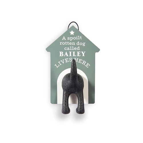 Personalisierbarer Hundeleinenhaken (Bailey) von History & Heraldry