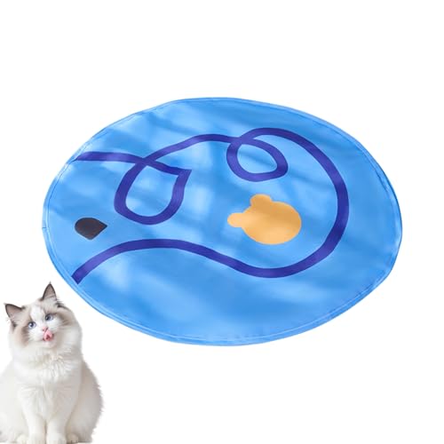 Hitburu Rolling Cat Ball in Play Matte, Interactive Cat Toy | Interaktive Katzenspielzeug tragbare Spielmatte | Langlebig bequemes Spiel für Haustiere Innenräume Kätzchen von Hitburu