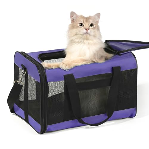 HITSLAM hundebox Faltbar Hundetransportbox Katzentransportbox Katzenbox Transportbox katzentasche für Hund, Katzen, Airline Zugelassen, Reisefreundliche Transporttasche (M) von HITSLAM