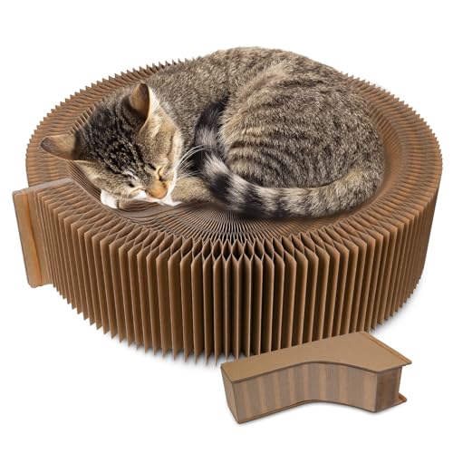 HivaolJoy Kitty Kurlz Katzenspielzeug Katzennest von HivaolJoy