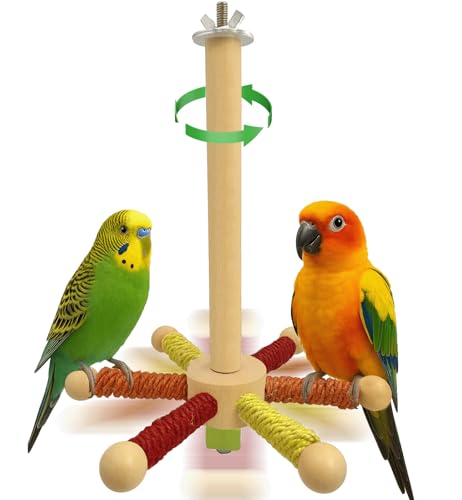 Hivovannn Vogel-Sitzstange Spielzeug Papagei 360° drehbarer Ständer Sitzstange Holz Interaktives Rad Sittich Spielzeug Vogelkäfig Zubehör für kleine und mittelgroße Lovebirds Conures Finken von Hivovannn