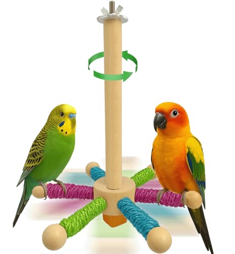 Hivovannn Vogelsitzstange Spielzeug Papagei 360° drehbarer Ständer Sitzstange Holz Interaktives Rad Sittich Spielzeug Vogelkäfig Zubehör für kleine und mittelgroße Lovebirds Conures Finken Hivovannn Vogelsitzstange Spielzeug Papagei 360° drehbarer Ständer Sitzstange Holz Interaktives Rad Sittich Spielzeug Vogelkäfig Zubehör für kleine und mittelgroße Lovebirds Conures Finken von Hivovannn