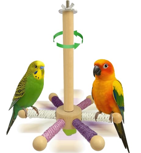 Hivovannn Vogelsitzstange Spielzeug Papagei 360° drehbarer Ständer Sitzstange Holz Interaktives Rad Sittich Spielzeug Vogelkäfig Zubehör für kleine und mittelgroße Lovebirds Conures Finken Hivovannn Vogelsitzstange Spielzeug Papagei 360° drehbarer Ständer Sitzstange Holz Interaktives Rad Sittich Spielzeug Vogelkäfig Zubehör für kleine und mittelgroße Lovebirds Conures Finken von Hivovannn