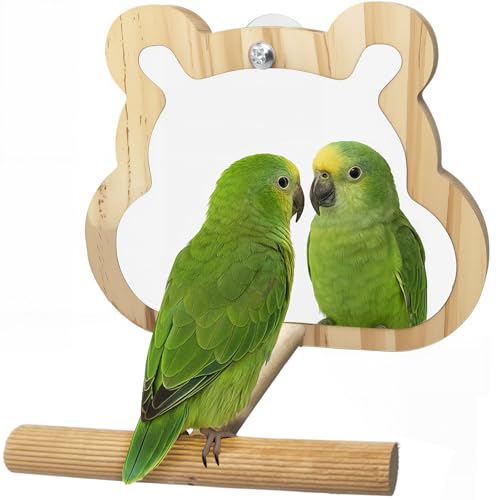 Hivovannn Vogelspiegel aus Holz mit Sitzstange für Käfig, Sittichspielzeug, Wellensittiche, interaktives TOS, Vogelkäfig-Zubehör für Papageien, Nymphensittiche, Sittiche, Sittiche, Finken von Hivovannn