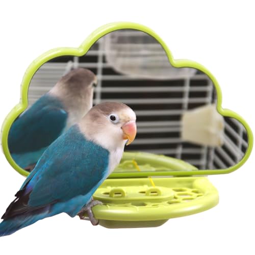Hivovannn Vogelspiegel mit Sitzstange, Sittichspielzeug Schaukel mit Futterspender, Vogelkäfig-Zubehör für Papageien, Nymphensittiche, Sittiche, Finken, Kanarienvögel, Grün von Hivovannn