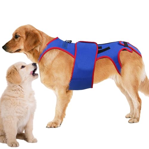 Dog Back Brace Support, Dogs Back Brace Helps Small Dogs, D Ring Reflective Strips Dogs Back, Dog Back Brace Support Rehab, Pet Support Harness D Ring Reflective Strip, Easy to Use, Portable for Dogs Dog Back Brace Support, Dogs Back Brace Helps Small Dogs, D Ring Reflective Strips Dogs Back, Dog Back Brace Support Rehab, Pet Support Harness D Ring Reflective Strip, Easy to Use, Portable for Dogs von Hjatirace