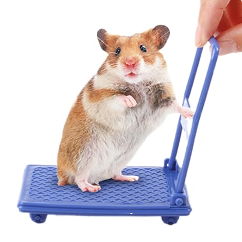 Fun Hamster Cage Accessories, Hamster Cart Toy, Small Animal Toys Hamster Toys, Photo Props Hamster Enrichment Toys, Small Cart Chinchilla Bed Pet Toys, Easy to Use, Portable for Play Rest Fun Hamster Cage Accessories, Hamster Cart Toy, Small Animal Toys Hamster Toys, Photo Props Hamster Enrichment Toys, Small Cart Chinchilla Bed Pet Toys, Easy to Use, Portable for Play Rest von Hjatirace