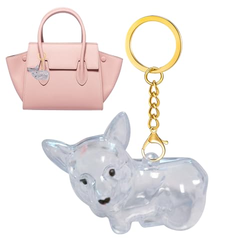 Hjatirace Hundehair Andenken,Hundehair Schlüsselband Andenken | Emotionaler Charm Anhänger Halter Transparente Aufbewahrung Für Erinnerung Männer Frauen Auto Handtasche von Hjatirace