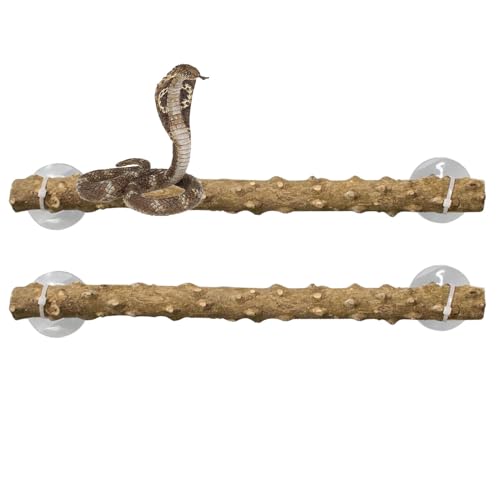 Ideal Tank Accessories, Reptile Corner Climbing Branch, Terrarium Branches Lizard Climbing Pole, Stable Reptile Tank Accessories, Snake Climbing Accessories, Easy to Use, Portable for Exploration Ideal Tank Accessories, Reptile Corner Climbing Branch, Terrarium Branches Lizard Climbing Pole, Stable Reptile Tank Accessories, Snake Climbing Accessories, Easy to Use, Portable for Exploration von Hjatirace