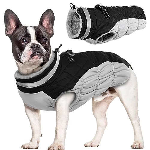 Hjumarayan Hundemantel für Kleine Mittelgroße Grosse Hunde, Hundejacke Warme Hundeweste Wintermantel Hund Wasserdicht Hunde Mantel Gefüttert, Hundemantel Französische Bulldogge (Schwarz M) Hjumarayan Hundemantel für Kleine Mittelgroße Grosse Hunde, Hundejacke Warme Hundeweste Wintermantel Hund Wasserdicht Hunde Mantel Gefüttert, Hundemantel Französische Bulldogge (Schwarz M) von Hjumarayan
