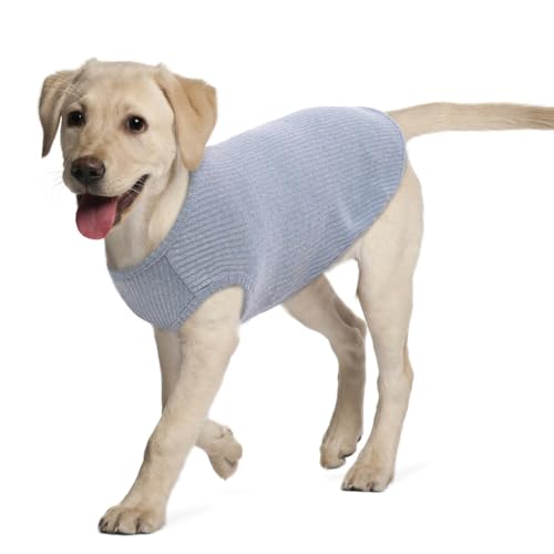 Hundehemd für kleine Hunde für Katzen und Haustiere, gestreift, lässig, für Chihuahua, aus weicher Baumwolle, für Mädchen, Jungen (XXL, Blau) von Hjumarayan