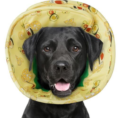 Hjumarayan Halskrause Hund - Weiche Leckschutz Hund Verstellbares Hundekragen Leckschutz Wasserdicht Schutzkragen Hund, Verhinderung von Verletzungen oder Wunden Leckt oder Kratzt (Grün L) von Hjumarayan