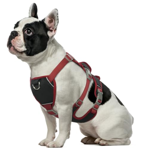 Hjumarayan Hundegeschirr Mittelgroße Hunde - Reflektierende Geschirr Hund Wasserdicht Sicherheitsgeschirr Hund mit Griff, Hunde Geschirrset Verstellbare Brustgeschirr Hund, Schwarz S von Hjumarayan