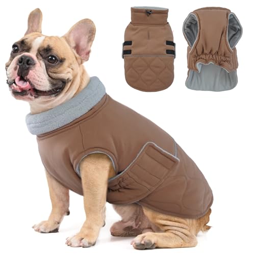 Hjumarayan Hundemantel, Hunde Jacken Kleine Hunde Wattierend Wintermantel Hund Klein Mantel Hund mit Geschirr Offnung, Hundemantel Gefüttert Hund Wintermantel, Braun M Hjumarayan Hundemantel, Hunde Jacken Kleine Hunde Wattierend Wintermantel Hund Klein Mantel Hund mit Geschirr Offnung, Hundemantel Gefüttert Hund Wintermantel, Braun M von Hjumarayan