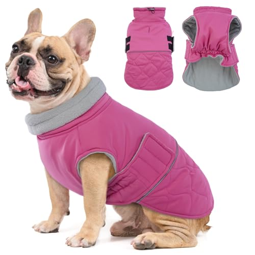 Hjumarayan Hundemantel, Hunde Jacken Kleine Hunde Wattierend Wintermantel Hund Klein Mantel Hund mit Geschirr Offnung, Hundemantel Gefüttert Hund Wintermantel, Rose M Hjumarayan Hundemantel, Hunde Jacken Kleine Hunde Wattierend Wintermantel Hund Klein Mantel Hund mit Geschirr Offnung, Hundemantel Gefüttert Hund Wintermantel, Rose M von Hjumarayan