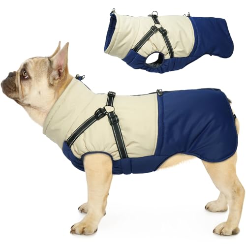 Hjumarayan Hundemantel für Kleine Hunde, Hundemantel mit Geschirr Wintermantel Hund Klein Hunde Mantel Gefüttert, Hundejacke Wasserdicht und Warm Hundemantel Winter Kleine Hunde, Marineblau M Hjumarayan Hundemantel für Kleine Hunde, Hundemantel mit Geschirr Wintermantel Hund Klein Hunde Mantel Gefüttert, Hundejacke Wasserdicht und Warm Hundemantel Winter Kleine Hunde, Marineblau M von Hjumarayan