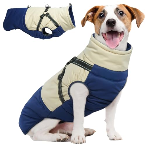 Hjumarayan Hundemantel für Kleine Hunde, Hundemantel mit Geschirr Wintermantel Hund Klein Hunde Mantel Gefüttert, Hundejacke Wasserdicht und Warm Hundemantel Winter Kleine Hunde, Marineblau S Hjumarayan Hundemantel für Kleine Hunde, Hundemantel mit Geschirr Wintermantel Hund Klein Hunde Mantel Gefüttert, Hundejacke Wasserdicht und Warm Hundemantel Winter Kleine Hunde, Marineblau S von Hjumarayan