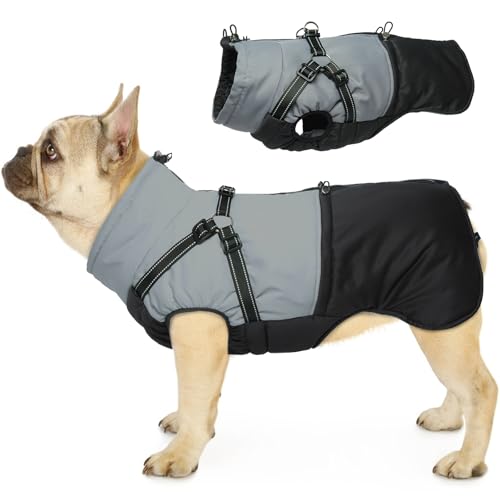 Hjumarayan Hundemantel für Kleine Hunde, Hundemantel mit Geschirr Wintermantel Hund Klein Hunde Mantel Gefüttert, Hundejacke Wasserdicht und Warm Hundemantel Winter Kleine Hunde, Schwarz M Hjumarayan Hundemantel für Kleine Hunde, Hundemantel mit Geschirr Wintermantel Hund Klein Hunde Mantel Gefüttert, Hundejacke Wasserdicht und Warm Hundemantel Winter Kleine Hunde, Schwarz M von Hjumarayan