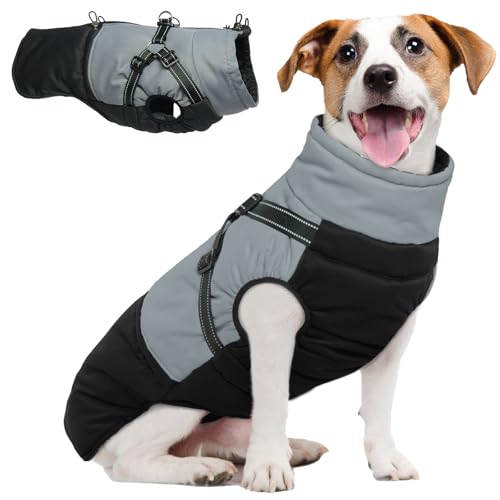 Hjumarayan Hundemantel für Kleine Hunde, Hundemantel mit Geschirr Wintermantel Hund Klein Hunde Mantel Gefüttert, Hundejacke Wasserdicht und Warm Hundemantel Winter Kleine Hunde, Schwarz S Hjumarayan Hundemantel für Kleine Hunde, Hundemantel mit Geschirr Wintermantel Hund Klein Hunde Mantel Gefüttert, Hundejacke Wasserdicht und Warm Hundemantel Winter Kleine Hunde, Schwarz S von Hjumarayan