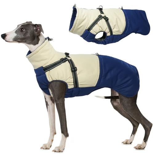 Hjumarayan Hundemantel mit Geschirr, Hundemantel Winter für Kleine Mittelgroße Grosse Hunde, Hundejacke Wasserdicht und Warm Hunde Mantel Gefüttert, Wintermantel Hund mit Geschirr, Marineblau XL Hjumarayan Hundemantel mit Geschirr, Hundemantel Winter für Kleine Mittelgroße Grosse Hunde, Hundejacke Wasserdicht und Warm Hunde Mantel Gefüttert, Wintermantel Hund mit Geschirr, Marineblau XL von Hjumarayan