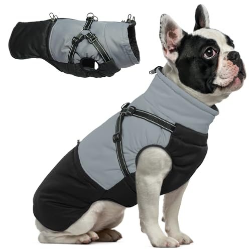 Hjumarayan Hundemantel mit Geschirr, Hundemantel Winter für Kleine Mittelgroße Grosse Hunde, Hundejacke Wasserdicht und Warm Hunde Mantel Gefüttert, Wintermantel Hund mit Geschirr, Schwarz L Hjumarayan Hundemantel mit Geschirr, Hundemantel Winter für Kleine Mittelgroße Grosse Hunde, Hundejacke Wasserdicht und Warm Hunde Mantel Gefüttert, Wintermantel Hund mit Geschirr, Schwarz L von Hjumarayan