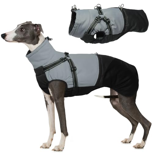 Hjumarayan Hundemantel mit Geschirr, Hundemantel Winter für Kleine Mittelgroße Grosse Hunde, Hundejacke Wasserdicht und Warm Hunde Mantel Gefüttert, Wintermantel Hund mit Geschirr, Schwarz XL Hjumarayan Hundemantel mit Geschirr, Hundemantel Winter für Kleine Mittelgroße Grosse Hunde, Hundejacke Wasserdicht und Warm Hunde Mantel Gefüttert, Wintermantel Hund mit Geschirr, Schwarz XL von Hjumarayan