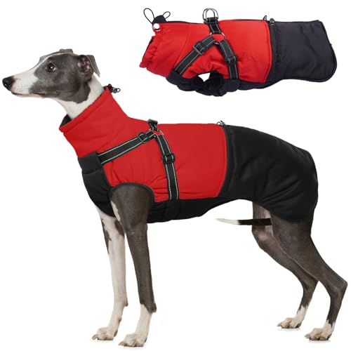 Hjumarayan Hundemantel mit Geschirr, Hundemantel Winter für Kleine Mittelgroße Grosse Hunde, Hundejacke Wasserabweisend und Warm Mantel Gefüttert Wintermantel Hund, Rot XL von Hjumarayan