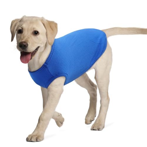Hjumarayan Hundepullover - Hundeshirts Hundepullover Grosse Hunde Elastisch Dünn Hunde Pullover Gestreifte Hunde Shirt Elastisch Hundepulli für Mittelgroße Grosse Hunde (Saphirblau XXL) von Hjumarayan