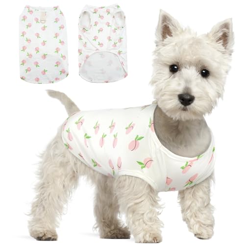 Hjumarayan Hundepullover Kleine Hunde, Hundeshirts für Kleine Hunde Dünner Chihuahua Pullover Weich Atmungsaktives Hunde Shirt für Chihuahua Yorkshire Terrier (Rosa Pfirsich S) von Hjumarayan