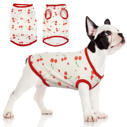 Hjumarayan Hundepullover Kleine Hunde, Hundeshirts für Kleine Hunde Dünner Chihuahua Pullover Weich Atmungsaktives Hunde Shirt für Terrier Französische Bulldogge (Weiße Kirschen M) von Hjumarayan