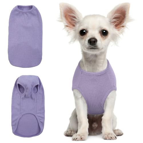 Hjumarayan Hundepullover Kleine Hunde - Dünn Hunde Pullover Waschbar Hundepulli Elastisch Pullover Hund Gestreifte Hunde Shirt Hunde Pullis für Chihuahua Yorkshire Terrier (Lila XXS) von Hjumarayan