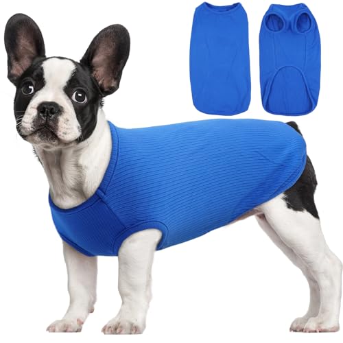 Hjumarayan Hundepullover Kleine Hunde - Hundeshirt Dünn Hunde Pullover Hundepulli Elastisch Pullover Hund Gestreifte Hunde Shirt Hunde Pullis für Chihuahua Yorkshire Terrier (Saphirblau S) von Hjumarayan