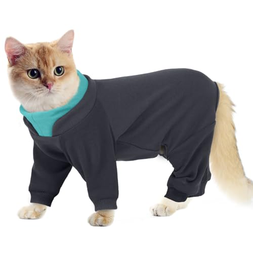 Hjumarayan Katzenbody nach OP, Komplettabdeckung Erholungsoverall Katzen Body mit Lange Beine, Onesie nach Operation gegen Lecken Warmer Fleece Katzenpullover Haftenden Haaren, Grau L Hjumarayan Katzenbody nach OP, Komplettabdeckung Erholungsoverall Katzen Body mit Lange Beine, Onesie nach Operation gegen Lecken Warmer Fleece Katzenpullover Haftenden Haaren, Grau L von Hjumarayan
