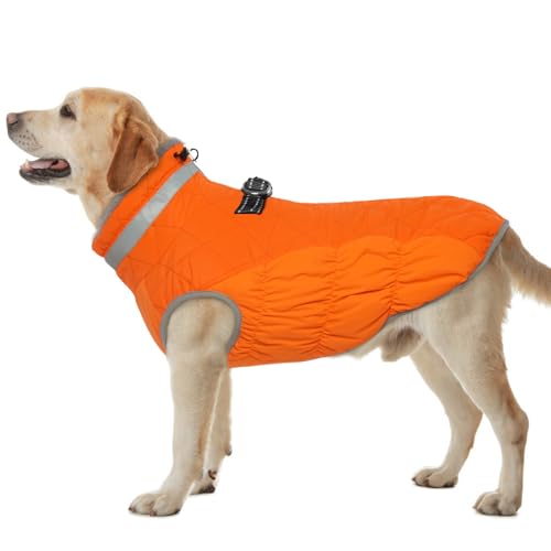 Hjumarayan Hundemantel Grosse Hunde - Hundemantel Winter Wintermantel Hund mit Geschirr Hundejacke Wasserdicht Hunde Mantel Gefüttert, Outdoor Hundemantel Hunter Labrador (Orange 3XL) von Hjumarayan