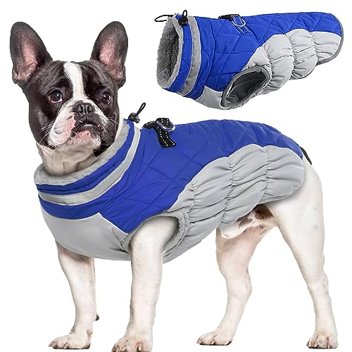Hjumarayan Hundemantel für Kleine Mittelgroße Grosse Hunde, Hundejacke Warme Hundeweste Wintermantel Hund Wasserdicht Hunde Mantel Gefüttert, Hundemantel Französische Bulldogge (Blau M) von Hjumarayan